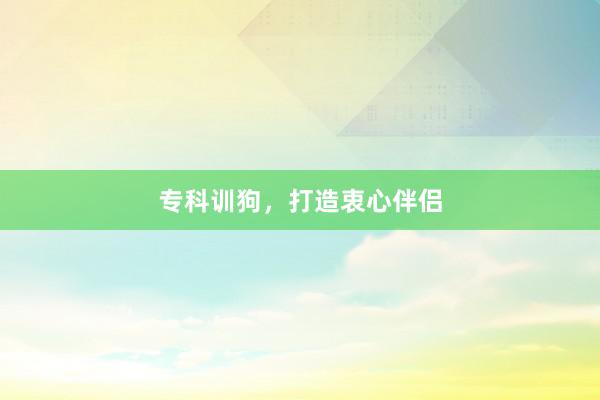 专科训狗，打造衷心伴侣