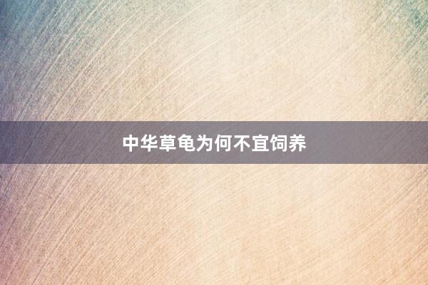 中华草龟为何不宜饲养