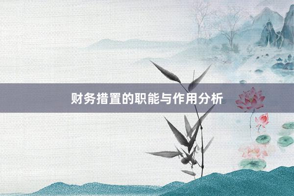 财务措置的职能与作用分析